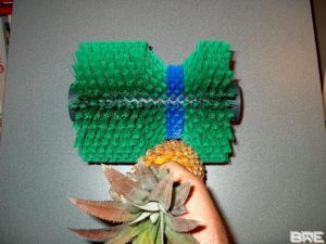 Brosse technique pour le brossage des ananas